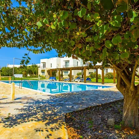 - Penthouse 200 Meters From The *