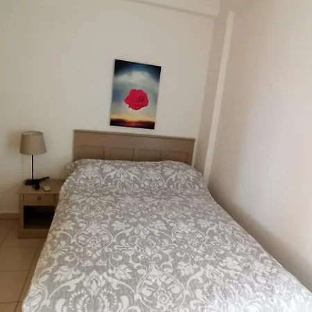 - Penthouse 200 Meters From The Apartment